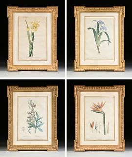 after PIERRE JOSEPH REDOUTÉ (Belgian/French 1759-1840) A GROUP OF FOUR BOTANICAL PRINTS,