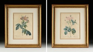 PIERRE JOSEPH REDOUTÉ (Belgian/French 1759-1840) A PAIR OF BOTANICAL PRINTS, 1817 AND 1824,