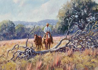 Martin Grelle | Riding in the Hill Country