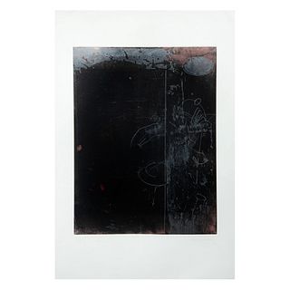 NUNIK SAURET, Arum, Firmado y fechado 2003, Grabado 2 / 10, Enmarcado, 49 x 37 cm