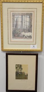 Four framed prints and lithographs after John James Audubon to include small folio Texan Skunk, small folio, Bowen, Adolphe Appian (1818-1898) a summe