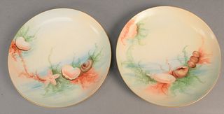 Set of twelve Haviland porcelain plates hand painted with scallop and sea shells. dia. 8 3/4 in.