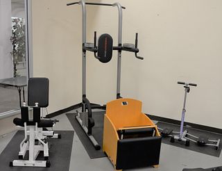 Seven piece lot to include Weider 200 tower, Parabody Serious Steel, Leg Magic along with three Omni Fitness mats. Provenance: Former home of Mel Gibs