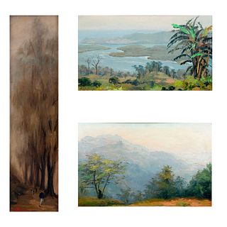 EDUARDO VILLANUEVA, Vistas de paisajes, Firmados y uno fechado 1962, Óleos sobre tela, Enmarcados, 59 x 94 cm Piezas: 3