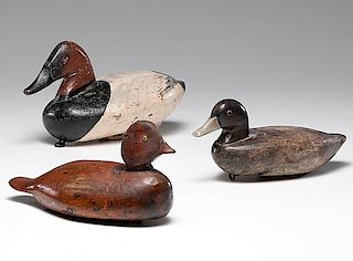 Canvasback and Other Decoys  