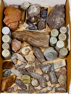 Jadeite Jade, Pottery, Fossil and Shell Assortment