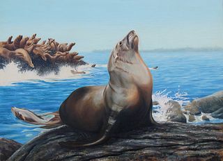 Kirk Stirnweis (B. 1967) "California Sea Lion"