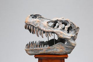 A LARGE MODEL OF A TYRANNOSAURUS DINOSAUR SKULL, with wall-mounting bracket