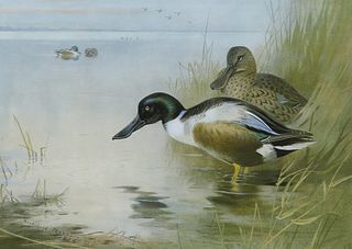 ARCHIBALD THORBURN (1860-1935), SHOVELERS, artist's proof printed in colour