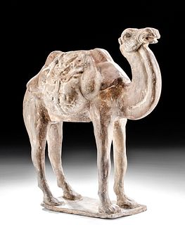 Chinese Tang Dynasty Pottery Camel w/ TL Test