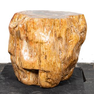 PETRIFIED WOODEN STUMP OCCASIONAL TABLE