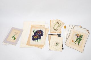 COLLECTION OF UNFRAMED IRIS PRINTS, APPROX. 29PCS