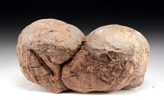 Chinese Cretaceous Fossilized Hadrosaur Eggs (pr)