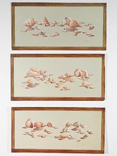 Group, Seven Seashell Lithographs, Arthur Kaplan