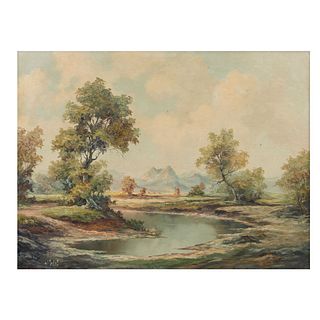 Seif. Vista de árbol con lago. Firmado. Óleo sobre tela. Enmarcado. 59 x 79 cm