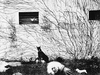 Mario Giacomelli (1925-2000)  - Autoritratto con cane nero, from the series "Luigi, ti racconto il cane nero", 1996