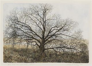 William Livesay, (American, 21st century), Tree Near Cedar Lake, State III 1984