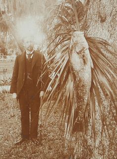 ROCKLEDGE Photo Giant Fish ca. 1890s