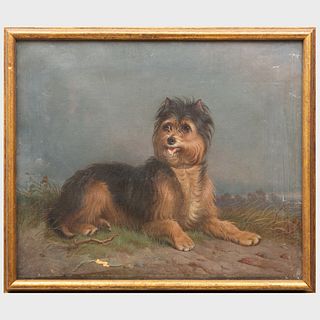 English School: Portrait of a Terrier