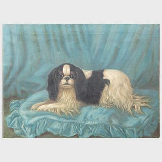 E. S. England (act. 1890-1910): Portrait of a Spaniel with Blue Background