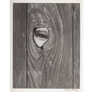 A. Aubrey Bodine. "Eye Witness"