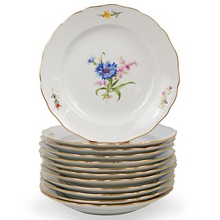 (12 Pc) Meissen Porcelain Floral Plates