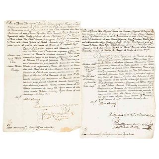 Primo de Rivera, Miguel. Marriage Licenses. México August 14th and 20th, 1772. Pieces: 2.