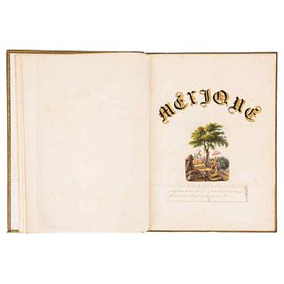 Mexique. Contiene: Descripción general de Mexique, la vegetación de México... 11 h., manuscripts + 11 watercolors.
