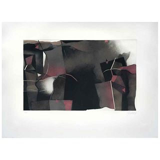 GABRIEL MACOTELA, Untitled, Signed and dated 87, Aquatint 27 / 45, 13.3 x 21.2" (34 x 54 cm)