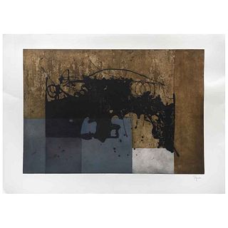 MANUEL FELGUÉREZ, El suspenso de la mancha, 2017, Signed, Aquatint sugar etching P. I., 23.6 x 34.2" (60 x 87 cm)