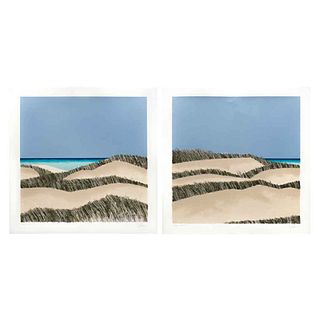 ENRIQUE CATTANEO, Dunas II, Signed, Serigraphs 6 / 100 and 5 / 100, 18 x 18" (46 x 46 cm each), Pieces: 2