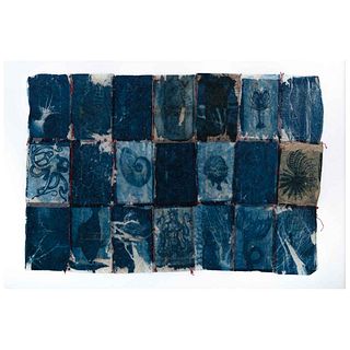 MERCEDES NAME, Unidad I, 2018, Unsigned, Cyanotype s /p recycled tea bags,  16.5 x 24.4" (42 x 62 cm)