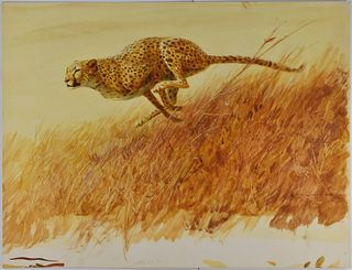 John Schoenherr Cheetah Gouache on Paperboard Ill