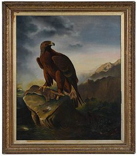 British School Ornithological Painting