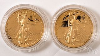 Two American Eagle 1 ozt. fine gold coins.