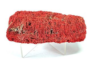 Red Coral Specimen