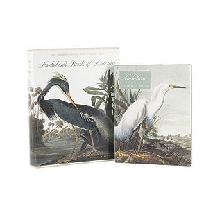 Blaugrund, Annette / Peterson, Roger Tory. John James Audubon / Audubon's Birds of America. New York, 1981 / 1993. Pieces: 2.