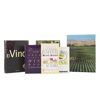 Books on Wine. Atlas del Vino/ Gran Atlas del Vino/ El Vino/ The New Great Vintage Wine Book/ Encyclopedia of Wine... Pieces: 6.