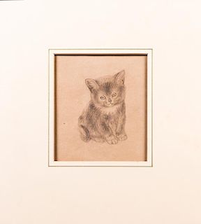 Vere Lucy Temple (1898-1980) Kitten Study, Pencil on paper,