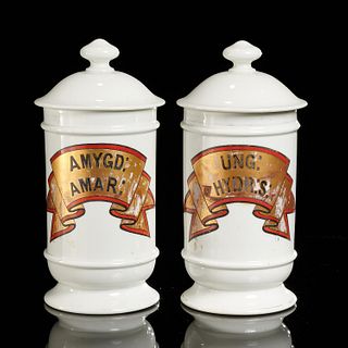 Pair Continental porcelain apothecary jars