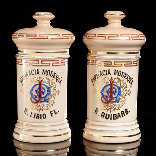 Pair "Farmacia Moderna" porcelain apothecary jars