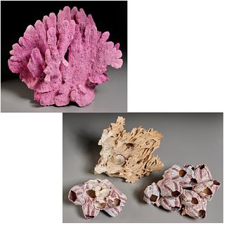 (4) Large specimens coral and pink barnacles