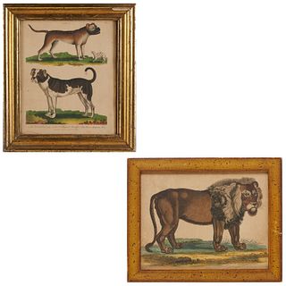 (2) English hand-colored animal engravings