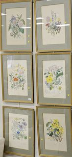 Group of eight framed and matted hand-colored botanical lithographs, six after E.T., some toning and foxing, sight size: 18 1/2" x 12" and a pair of h
