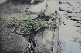 Copy Berg (20th C.), "Street Scene", 1981, colored pencil on paper, depicts puddles on ground with grasses growing on pavement, signed and dated lower
