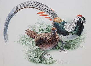 Zeng Xiaolian (B. 1939) "Chinese Copper Pheasant"