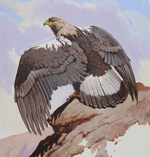 John Swatsley (B. 1937) "Spanish Imperial Eagle"