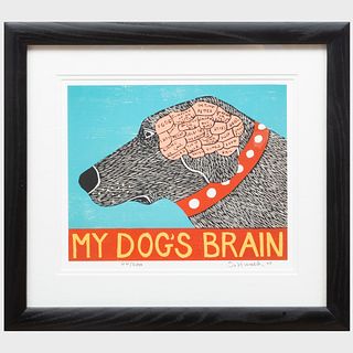 21st Century School: My Dog's Brain