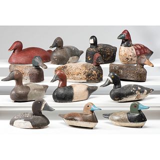 Thirteen Carved and Painted Duck Decoys