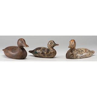 Three Carved and Painted Duck Decoys